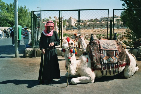 baalbeck - kameltreiber
